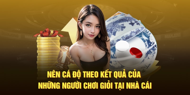 Nên cá độ theo kết quả của những người chơi giỏi tại nhà cái